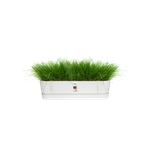 greenville pflanzgefäß lang 70cm weiss